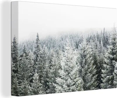 Produktbild von OneMillionCanvasses® - Leinwandbilder - 150x100 cm, Wald - Schnee - Winter - Jahreszeiten - Tannenbaum, Wandbilder Kunstdruck Wanddekoration - Foto auf Leinwand - Gemälde auf