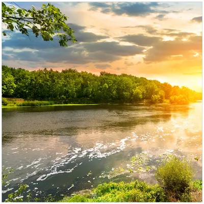 Produktbild von Wallario Magnet für Kühlschrank / Geschirrspüler, magnetisch haftende Folie - 60 x 60 cm, Motiv: Sonnenuntergang am Fluss in grüner Umgebung