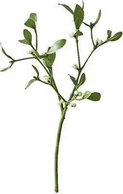 Produktbild von Mistelzweig 38cm