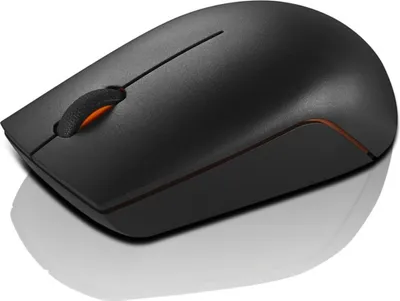 Image de Lenovo 300 noir Souris sans fil