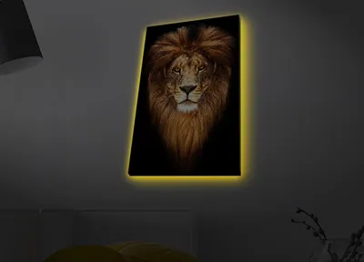 Produktbild von Opviq, 4570MDACT- LED4470, Bunt, Leinwandbilder, 45 x 70 cm, 100% Wildleder -Leinwand