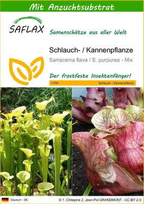 Produktbild von SAFLAX - Schlauch- / Kannenpflanze - Sarracenia flava / S. purpurea - Mix - 10 Samen - Mit keimfreiem Anzuchtsubstrat
