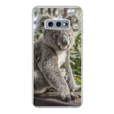 Produktbild von MuchoWow® Handyhülle Schutzhülle Hülle für Samsung Galaxy S10e Koala - Holz - Pflanzen - Kinder - Jungen - Mädchen Silikon Softcase Handy Hülle - Handy