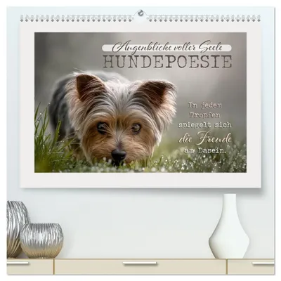 Produktbild von Hundepoesie - Augenblicke voller Seele (hochwertiger Premium Wandkalender 2027 DIN A2 quer), Kunstdruck in Hochglanz