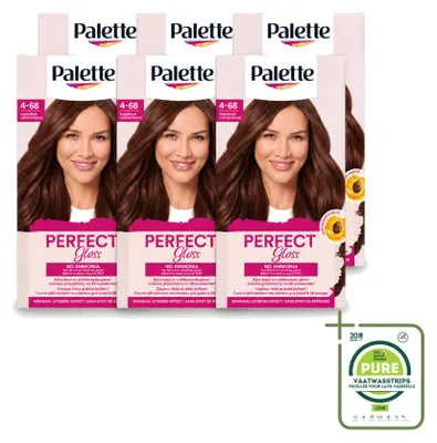 Obrázek produktu pro 6 kusů barviva Palette Perfect Gloss, dočasné intenzivní barvení, omyvatelné, odstín 1-0 Černá – velká balení