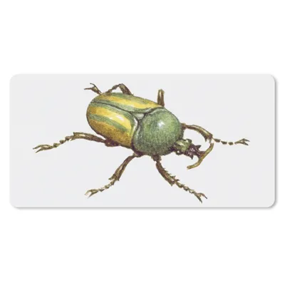 Produktbild von MuchoWow® Mauspad Mousepad Käfer - Insekten - Aquarell 60x30 cm - Mousepads - Maus Mat - Pad - Mausunterlage - Nachhaltig