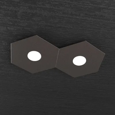 Obrázok produktu pre Moderné stropné svietidlo Hexagon Metal Brown 2 svetlá Led 12X2W