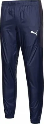 Image de Pantalon Puma 70465302