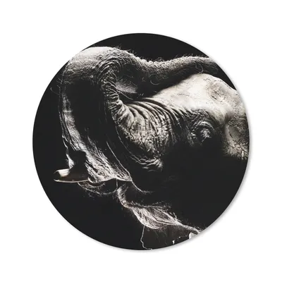 Produktbild von MuchoWow® Mauspad Mousepad Elefant - Schwarz - Tiere - Porträt 30x30 cm - Mousepads - Maus Mat - Pad - Mausunterlage - Tischunterlage - Schreibtischmatten