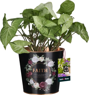 Productafbeelding van KOTARBAU® bloemenoverpot zwart rond met opschrift FAITH ? 14 x 13,5 cm stalen bloempot zwart mat decoratieve overpotten