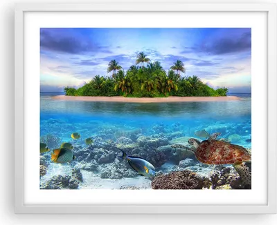 Produktbild von Gerahmtes Poster - Weißer Rahmen - Strand lagune wasser ozean - 50x40 cm - Wand Bild - Wanddeko - Wandbilder - Wandposter - Bilderrahmen - Bilder - Kunstdruck - Wandbild - P2WAA50x40-2686