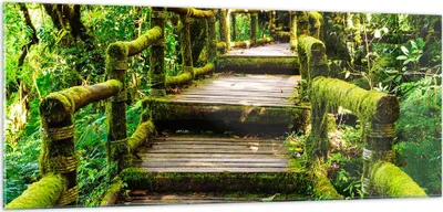 Produktbild von Bilder auf glas - Asien natur park brücke - 100x40cm - Glasbilder - Wandbilder - Kunstdruck - zum Aufhängen bereit - Wanddekoration aus Glas - Glas Bilder - Wandbild auf Glas - GAB100x40-2417