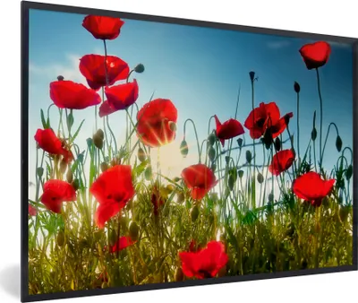 Produktbild von MuchoWow® Gerahmtes Poster Mohnblumen - Toskana - Sonne - Rot - Blau 90x60 cm - Poster mit Schwarzem Bilderrahmen Wandposter Rahmen Foto Bilder - Fotorahmen - Foto-Plakat