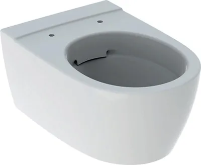 Obrázek produktu pro Geberit závěsný klozet iCon bez okrajů 530 mm projekce bílá