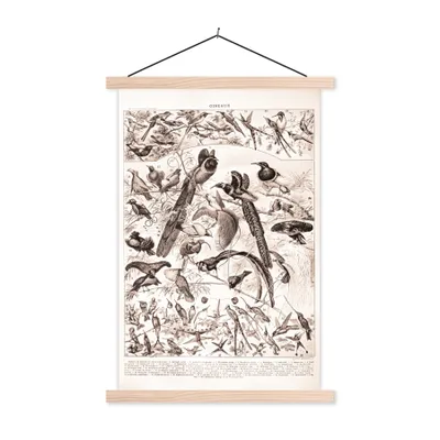 Produktbild von MuchoWow® Textilposter Vogel - Tiere - Schwarz - Weiß 60x90 cm mit holzfarbenen Rahmen - Textil