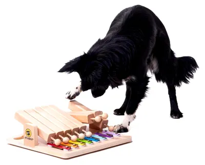 Produktbild von Interaktives Hundespielzeug für Intelligenz und mentale Auslastung