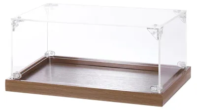 Image de Omgoods - Vitrine en acrylique - 25 x 15 x 10 cm. Boîte transparente pour objets de collection