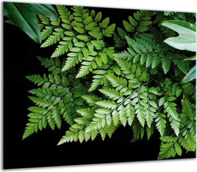 Obrázok produktu pre Kryt varnej dosky Keramický kryt varnej dosky Splashback sklo 60x52cm čierny kvet