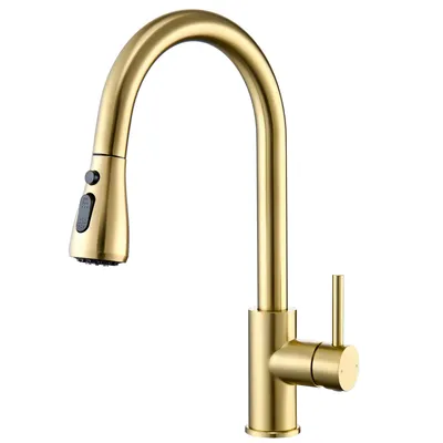 Produktbild von Cecipa MAX Gold Ausziehbare Küchenarmatur aus 304 Edelstahl – Mit 360° Dreh-Auslauf, Einhandbedienung & Keramikventil für Präzise Temperaturregelung