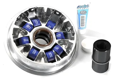 Obrázok produktu pre Variátor Polini CVT, OEM 241.663, určený pre modely Aprilia SRV 850 a Gilera GP 800