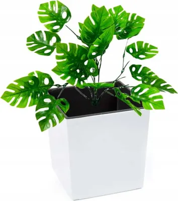 Zdjęcie produktu dla Doniczka dekoracyjna 19x19,5cm Biała plastikowa kwadratowa + wkład