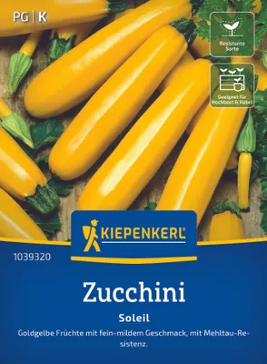 Produktbild von Kiepenkerl Zucchinisamen Soleil F1 Cucurbita pepo 7 Pflanzen