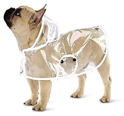 Produktbild von Hunde-Regenmantel mit Kapuze, transparenter Regenmantel für kleine Hunde, wasserdicht, für Welpen, Katzen und Haustiere
