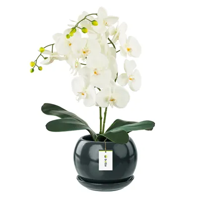 Produktbild von Blumentopf Blumenübertopf Graphit Kugel Blumenschale mit Untersetzer Rund BxH 170 mm x 160 mm Oberfläche Glanz Keramik Modern Glamour