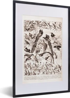 Produktbild von MuchoWow® Gerahmtes Poster Vogel - Tiere - Schwarz - Weiß 40x60 cm - Poster mit Schwarzem Bilderrahmen Wandposter Rahmen Foto Bilder - Poster in Rahmen