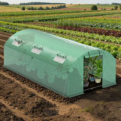 Image de Serre Ikodm, serre à tomates avec porte et 6 fenêtres, 300 x 600 x 200 cm, verte