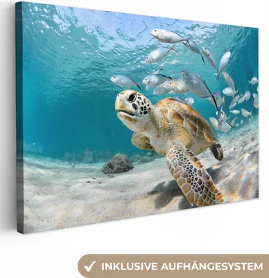 Produktbild von MuchoWow® - Leinwandbilder - Schildkröte - Fisch - Meer, Wandbild, Wanddeko Bilder Wohnzimmer, 120x80cm