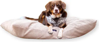 Produktbild von 4L Textil MOLLY Hundekissen flauschig Cord Hundebett Grosse Hunde mit Bezug und Reißverschluss kuscheliges Hundekissen waschbar (100x80 cm, Beige (Stripes)