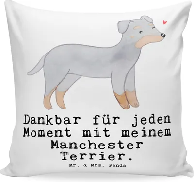 Produktbild von Mr. & Mrs. Panda kissen bedruckt Manchester Terrier Moment - Weiß - Geschenk, Dekokissen, Kuschelkissen, für sofa, Deko, Sofakissen, 40x40