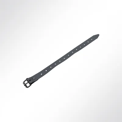Produktbild von LYSEL® Schnallriemen mit Rollschnalle für Planen schwarz, Länge 350mm VE 10 Stück
