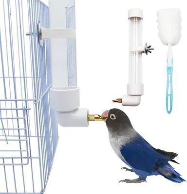 Produktbild von Vogel-Wasserspender, 1 x automatischer Papageien-Wasserspender mit Reinigungsbürste, Vogelkäfig-Zubehör, Vogeltränke, Schüssel für Papageien, Wellensittiche, Nymphensittiche, Sittiche, 130 ml