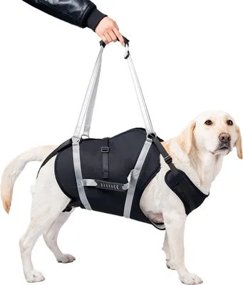 Produktbild von Hundetragehilfe XL für große Hunde, Reha-Geschirr mit Schultergurt & Reflektor