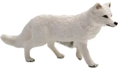 Produktbild von Schleich Arctic Fox Figur Beige,Weiß  Kinder Beige,Weiß One Size