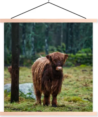 Produktbild von MuchoWow® Textilposter Schottisches Hochlandrind - Wald - Moos 60x60 cm mit holzfarbenen Rahmen - Wanddekoration