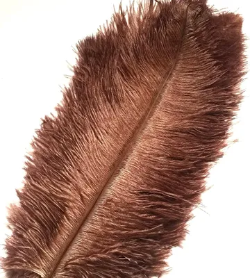 Produktbild von 10Pcs Straußenfedern 12-14Inch (30-35cm) Für Haus Hochzeitsdekoration bietet (Braun)