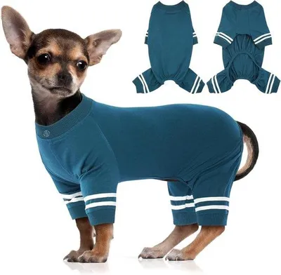 Image de Pyjama pour chien en polaire