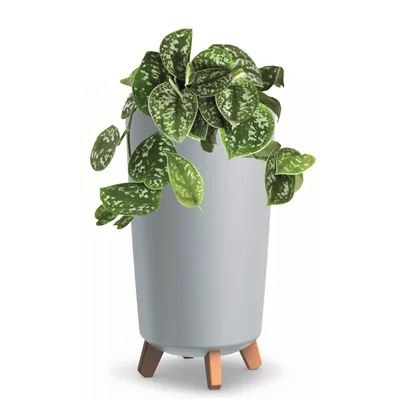 Produktbild von Blumentopf mit Füßen Hoh Tube Pflanzkübe D 20 cm aus Kunststoff matte Grau Übertöpfe Geldbaum Kakteen Gummibaum Glücksfeder
