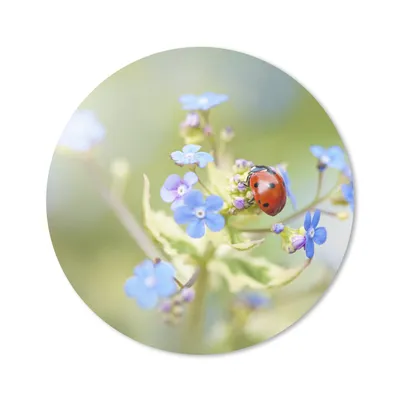 Produktbild von MuchoWow® Mauspad Mousepad Marienkäfer - Blume - Frühling 20x20 cm - Mousepads - Maus Mat - Pad - Mausunterlage - Schreibtischmatte