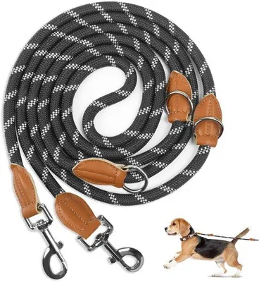 Produktbild von Famanu Hundeleine 3 m – Robuste, reflektierende Trainingsleine für mittelgroße und große Hunde