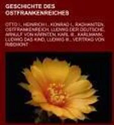 Produktbild von Geschichte des Ostfrankenreiches