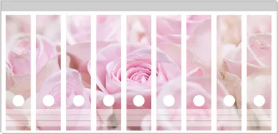 Produktbild von Wallario Ordnerrücken Sticker, selbstklebend für breite Ordner, 9 Stück, Motiv Rosafarbene Rosenblüten im Strauß