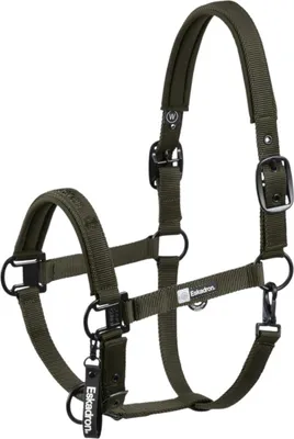 Immagine prodotto di Dynamic Halfter Double Pin 190 verde intenso P2