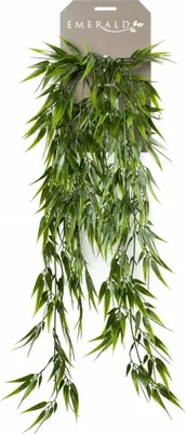 Produktbild von Warentuin Producten