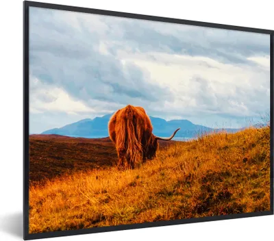 Produktbild von MuchoWow® Gerahmtes Poster Schottischer Highlander - Gras - Berg 80x60 cm - Poster mit Schwarzem Bilderrahmen Wandposter Rahmen Foto Bilder - Schwarzem - Mit Gestell