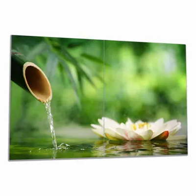 Produktbild von Wallario Herdabdeckplatte aus Glas, Größe 80 x 52 cm 2-teilig, Motiv Seerosen und Bambus auf dem Wasser