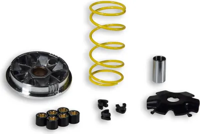 Image de Variomatique Malossi MULTIVAR